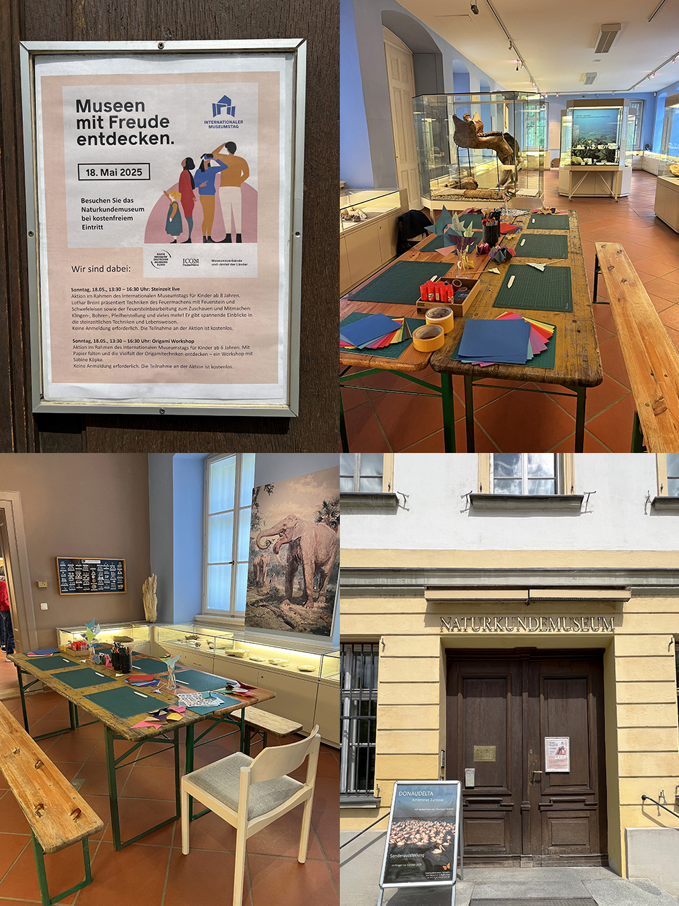 Origami Workshop im Naturkundemuseum Ostbayern zum Internationalen Museumstag 2025