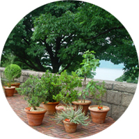 Cloisters