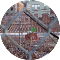 Williamsburg