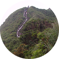 Taipei